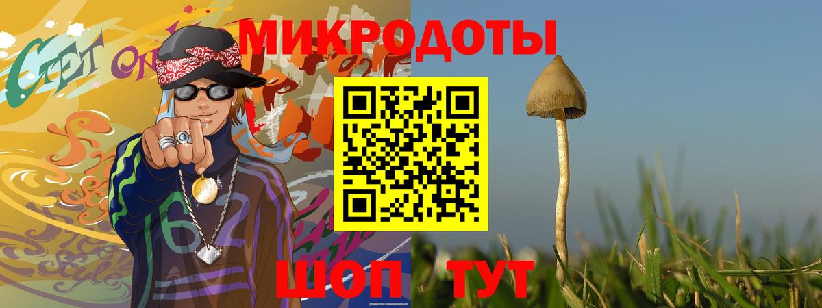 Псилоцибиновые грибы GOLDEN TEACHER Ртищево